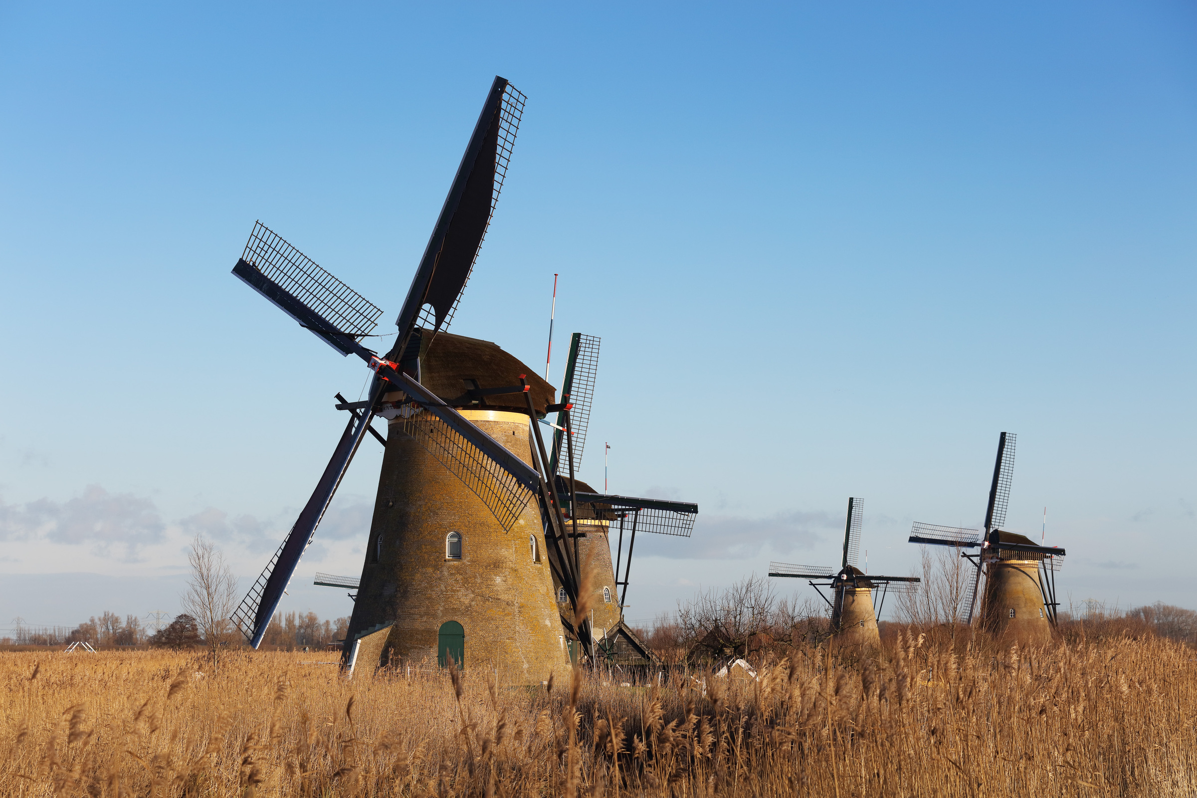 Teleaufnahme von Windmühlen in Kinderdijk