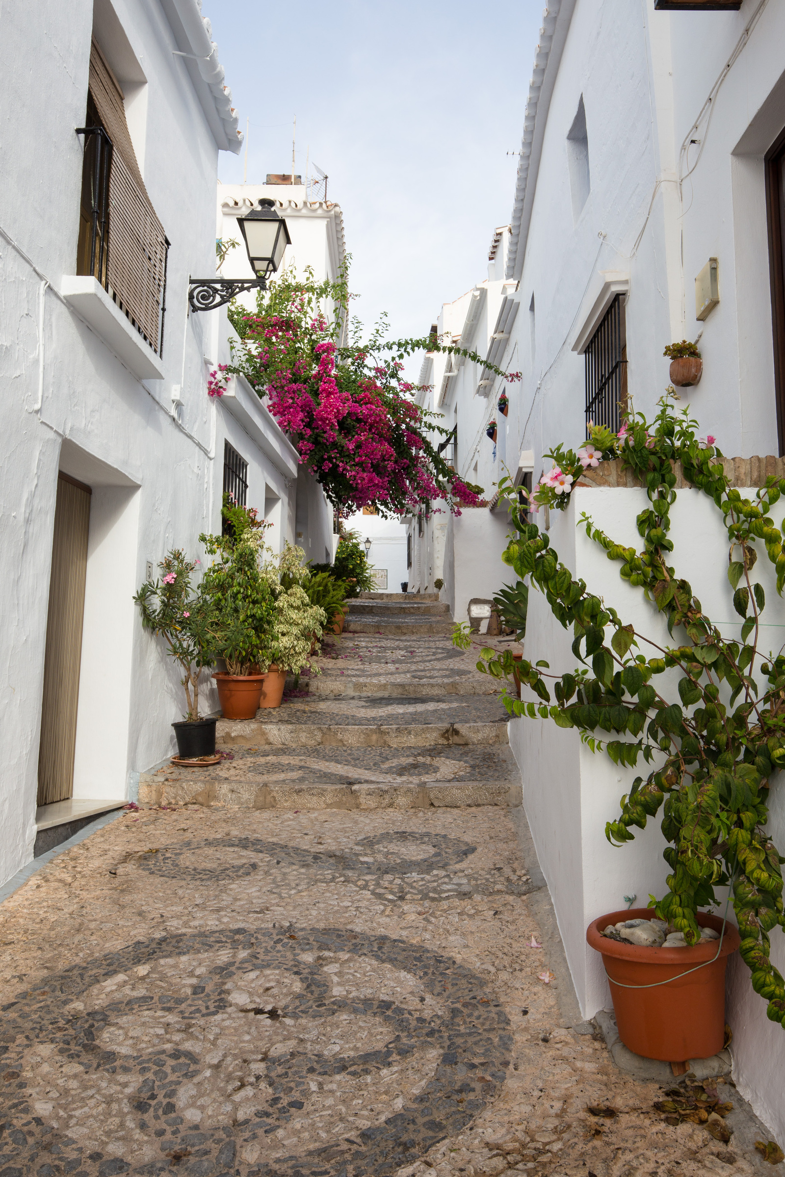 Gasse in Frigiliana