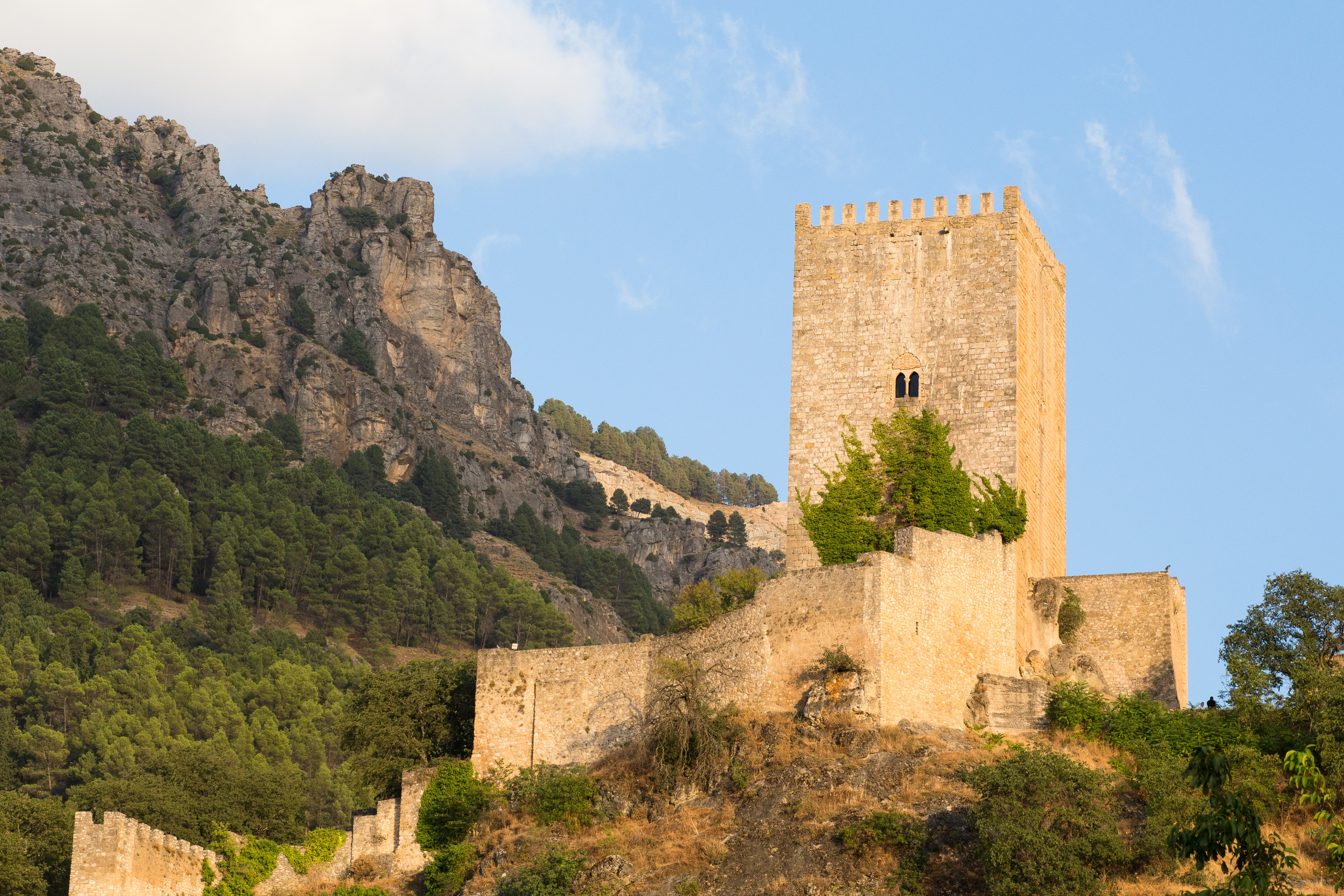 Teleaufnahme vom Castillo de la Yedra