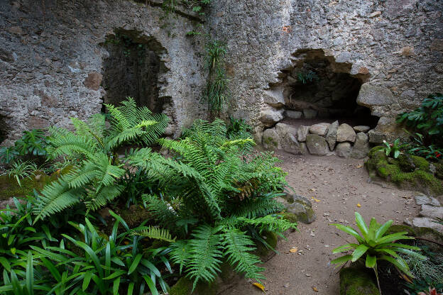 Steinmauer einer Ruine in Sintra